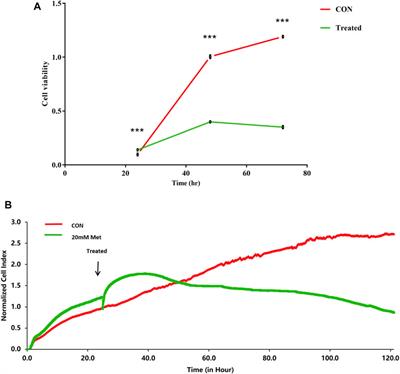 Transcriptome Analysis of Liver Cancer Cell Huh-7 Treated With Metformin